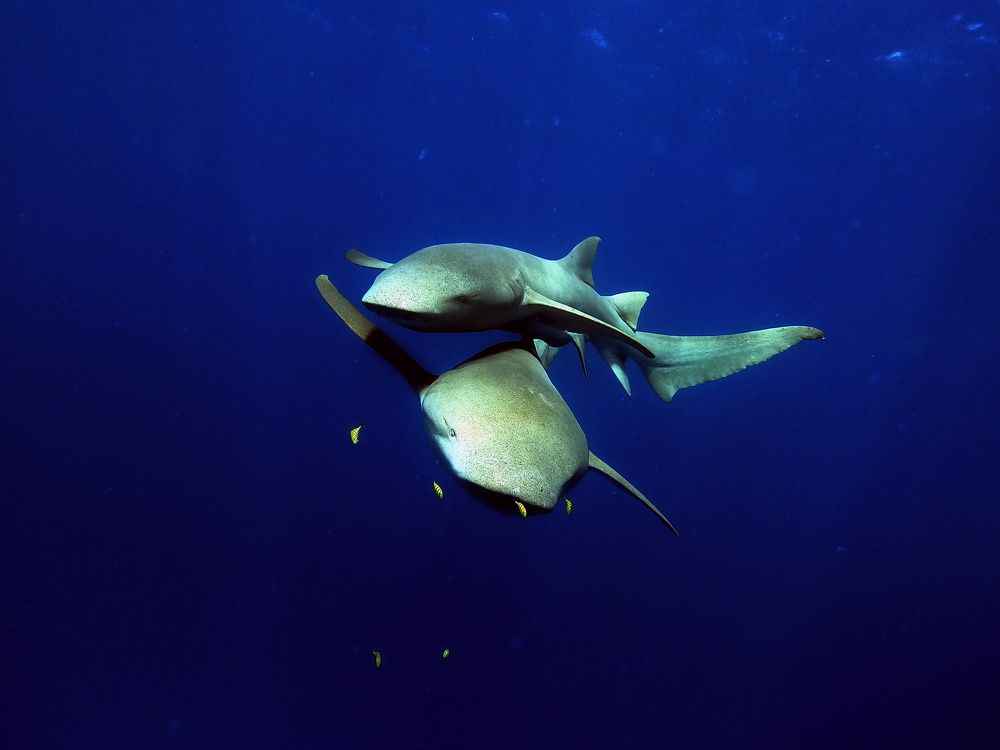 Photograph by Yulian Mr