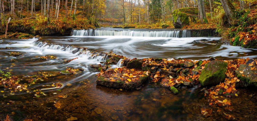 Photograph by Andres Papp