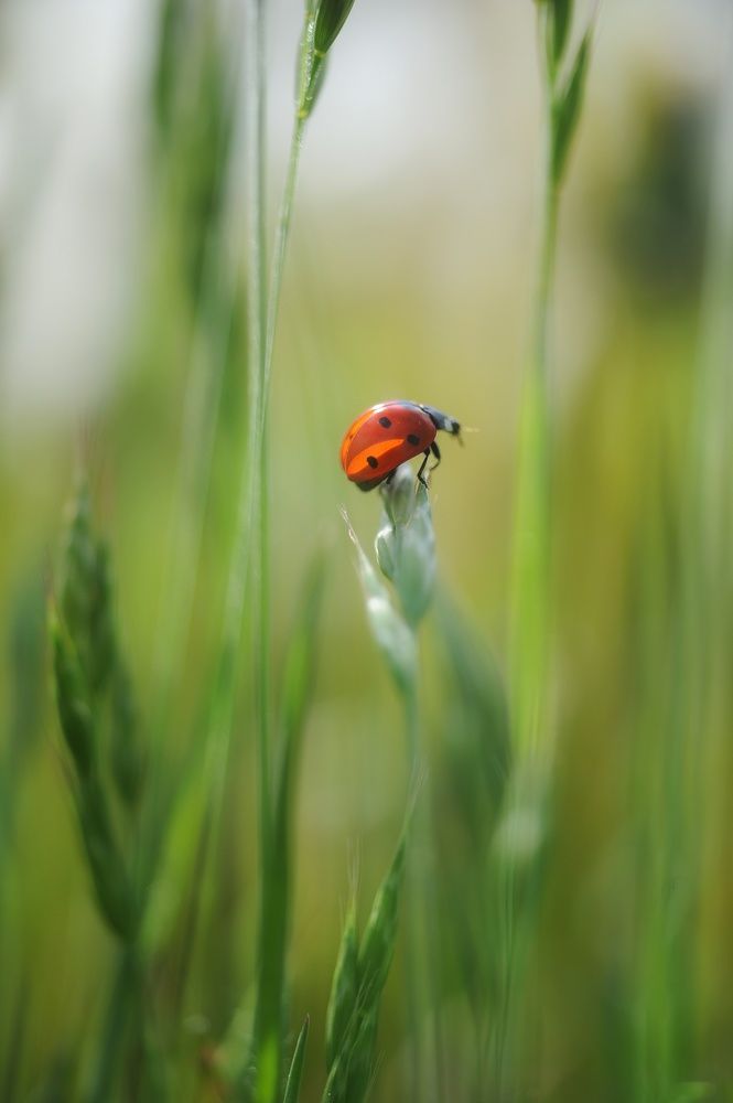Photograph by Francesca Fiorenzoni