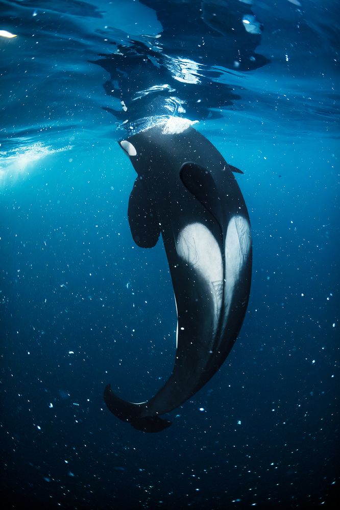 Photograph by Andy Schmid