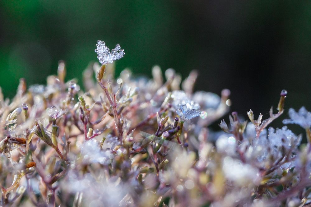 Photograph by Надежда Сидорова