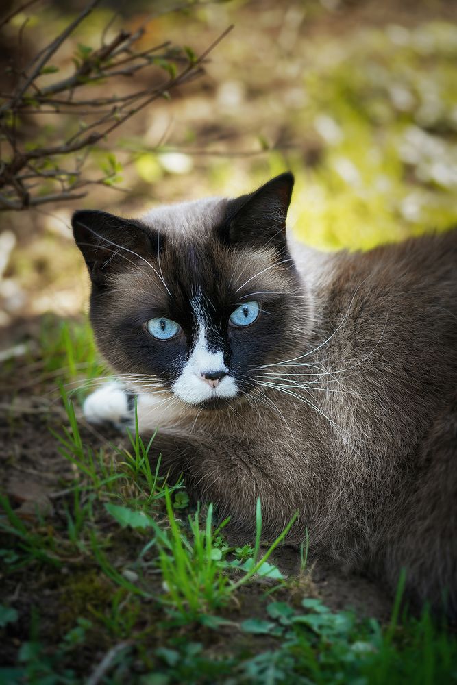 Фотография автора ЯR Ольга