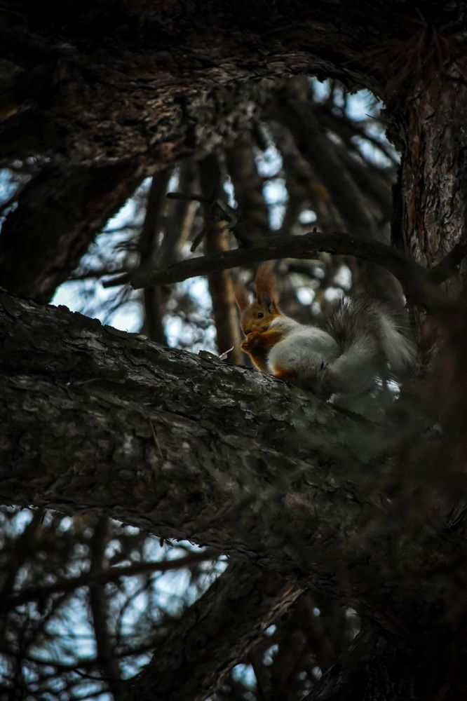 Photograph by Бекежан Мұхаметжанов