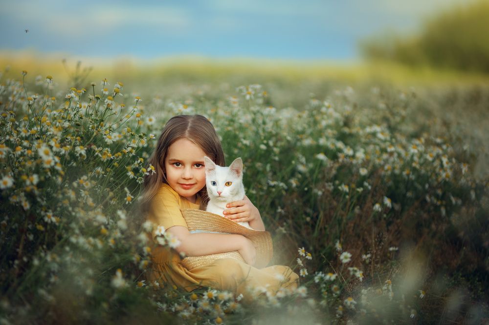 Photograph by Костюк Зоя