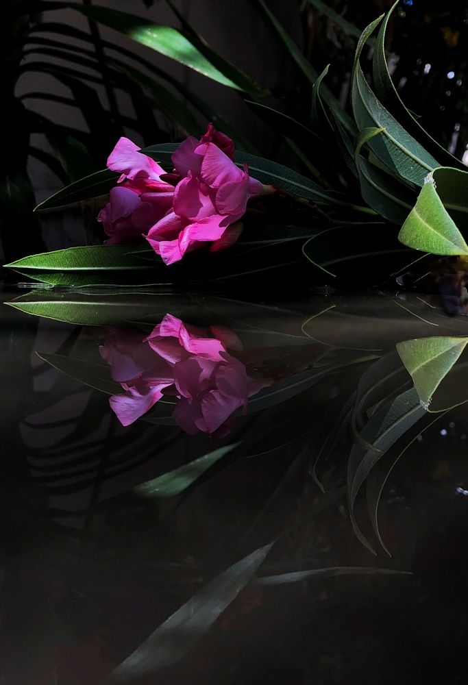 Photograph by Olesia Bulich