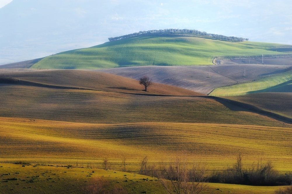 Photograph by Francesca Fiorenzoni