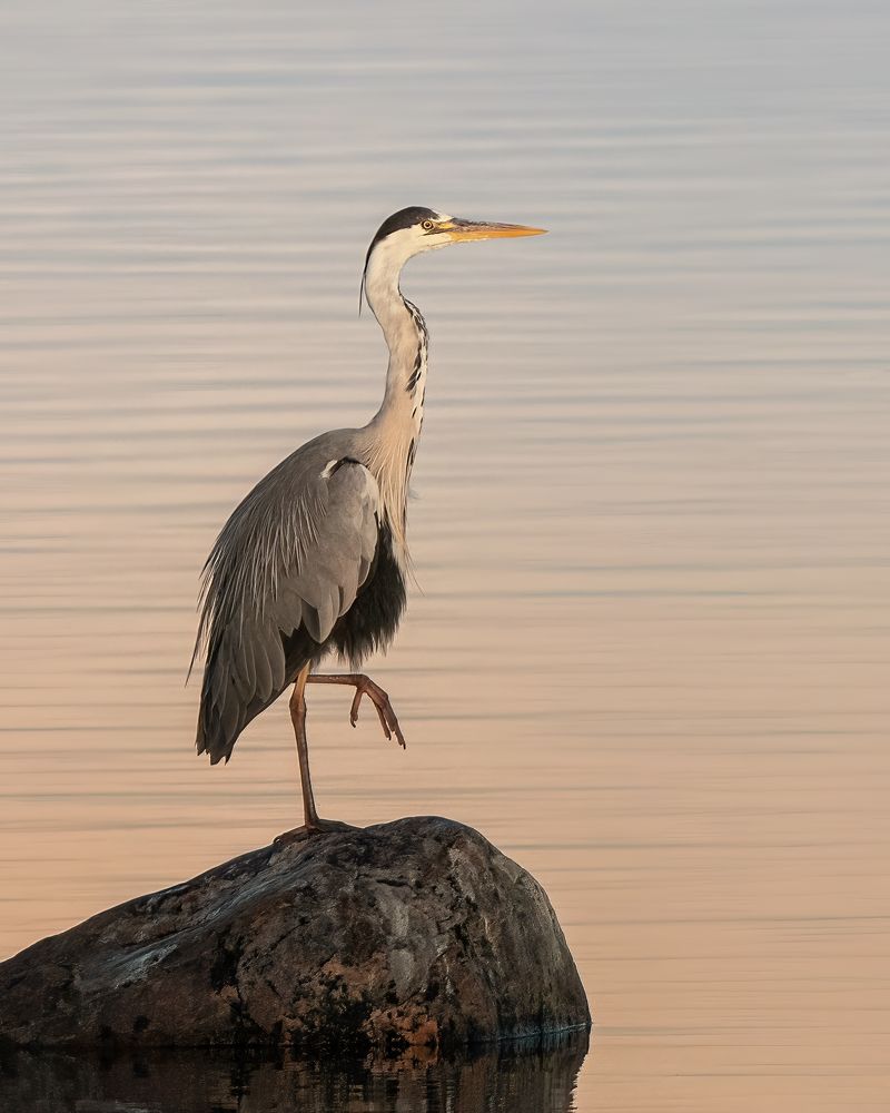 Photograph by Larianna Holm