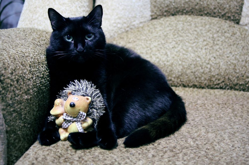 Photograph by Elena Dementova