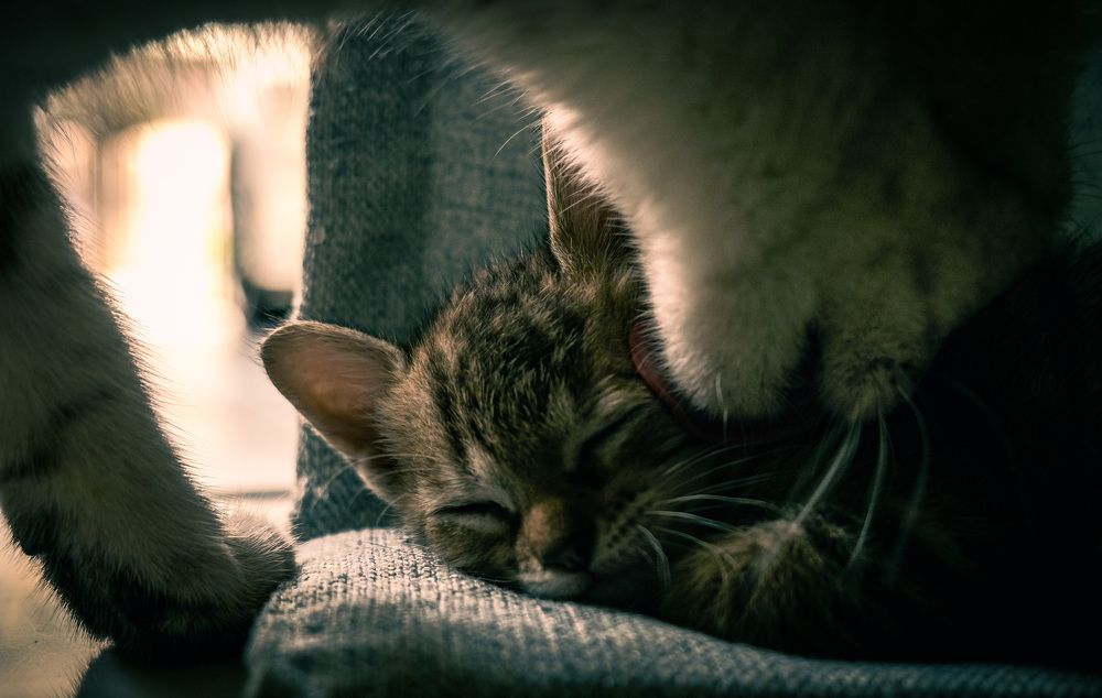 Photograph by Mohd Abudin Abdullah