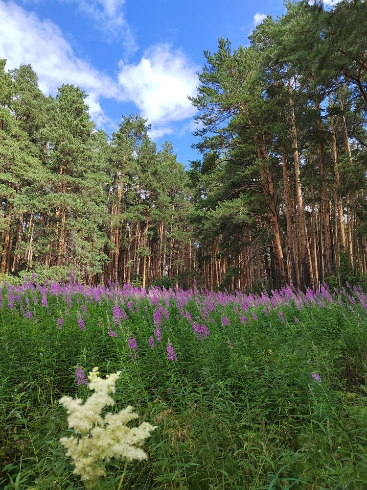 Фотография автора Юлия Лубкина