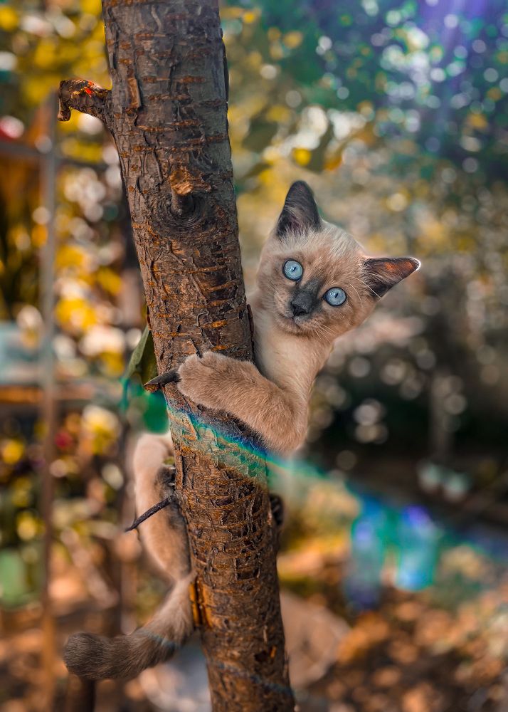 Photograph by Бекежан Мұхаметжанов