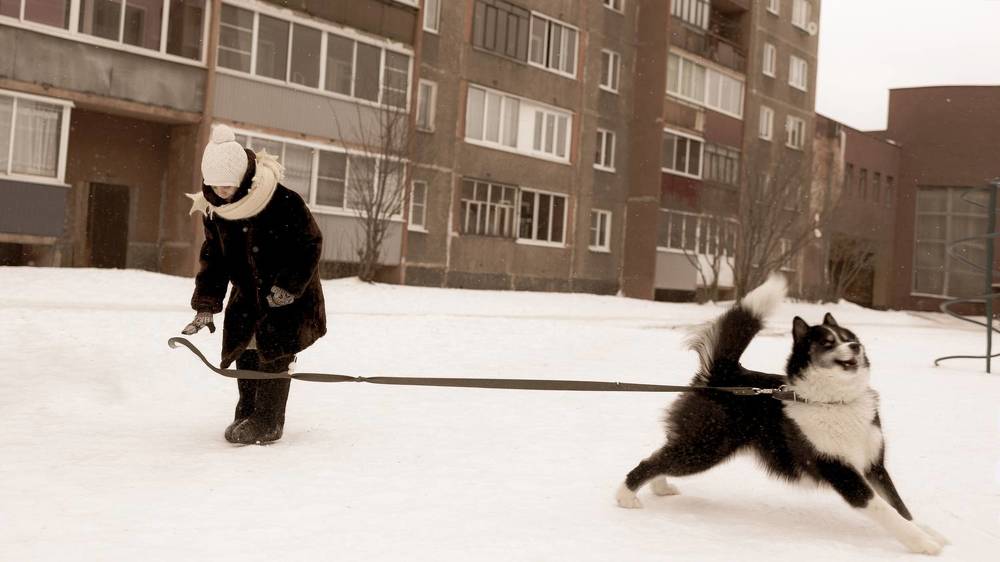 Серия по мотивам мультфильма