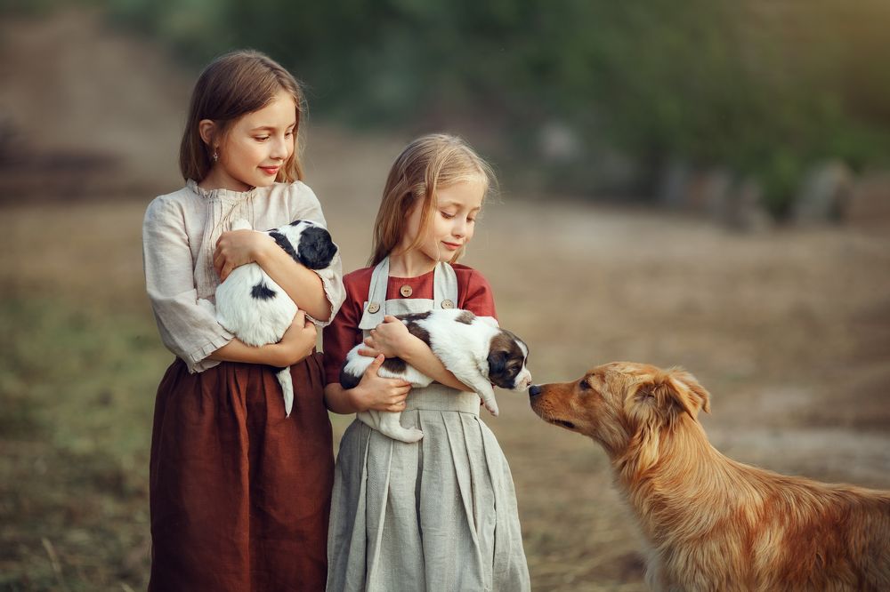 Photograph by Костюк Зоя