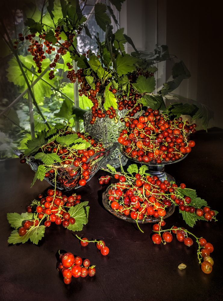 Фотография автора Milena Ivanova