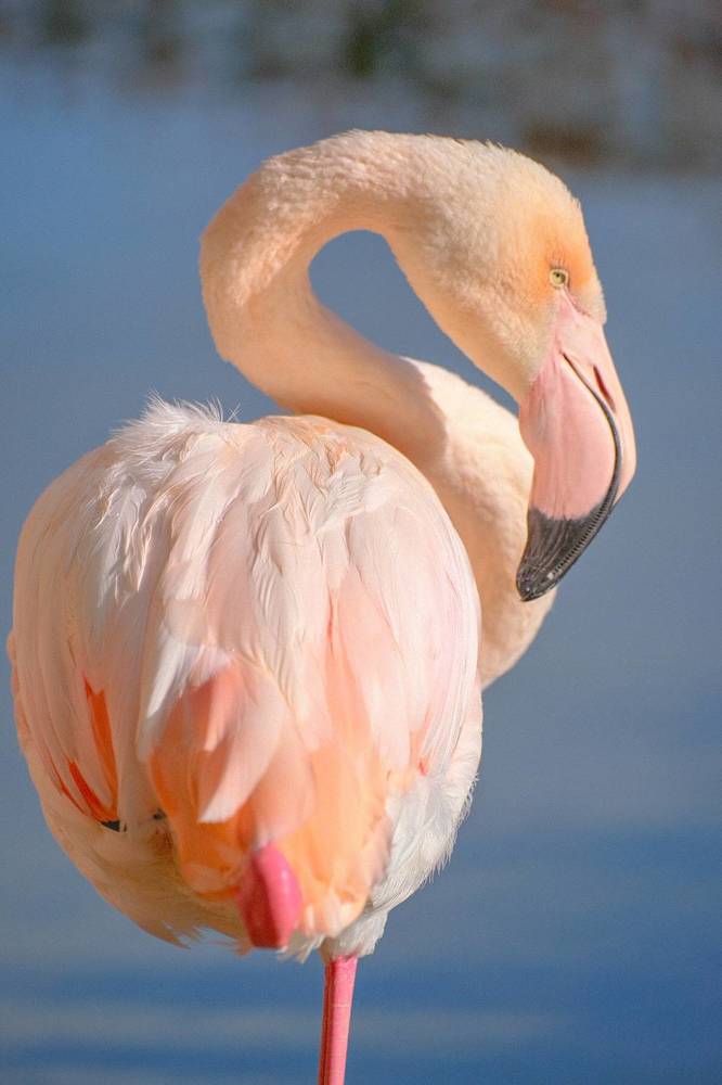 Photograph by Алексей Большаков