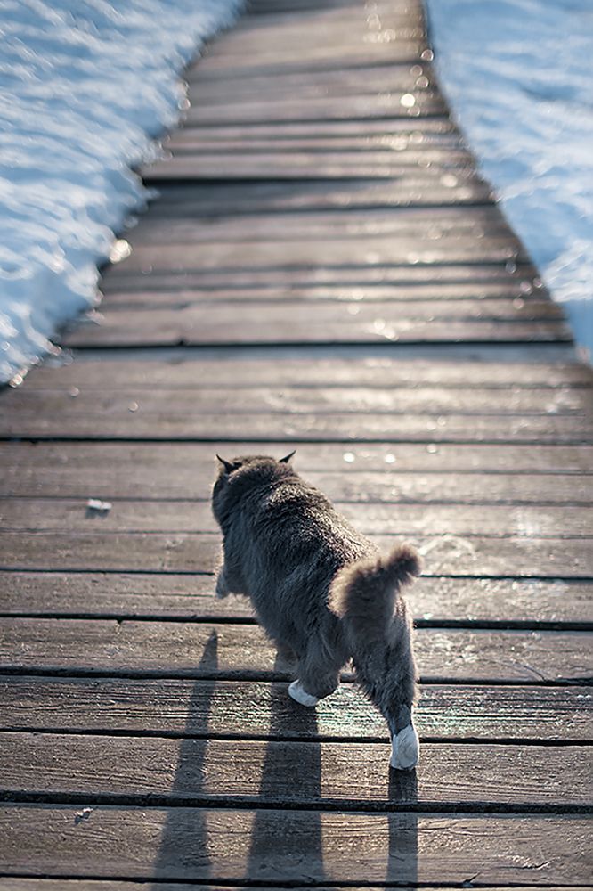 Photograph by Olga Matveeva