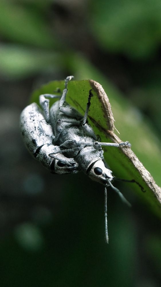 Photograph by Abhijith