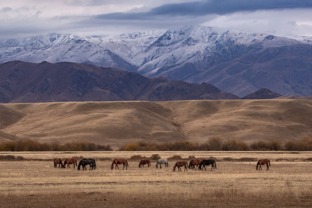 Photograph by Evgeny S.