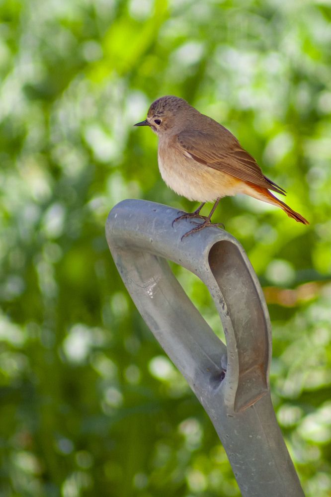 Фотография автора Omar Sanad