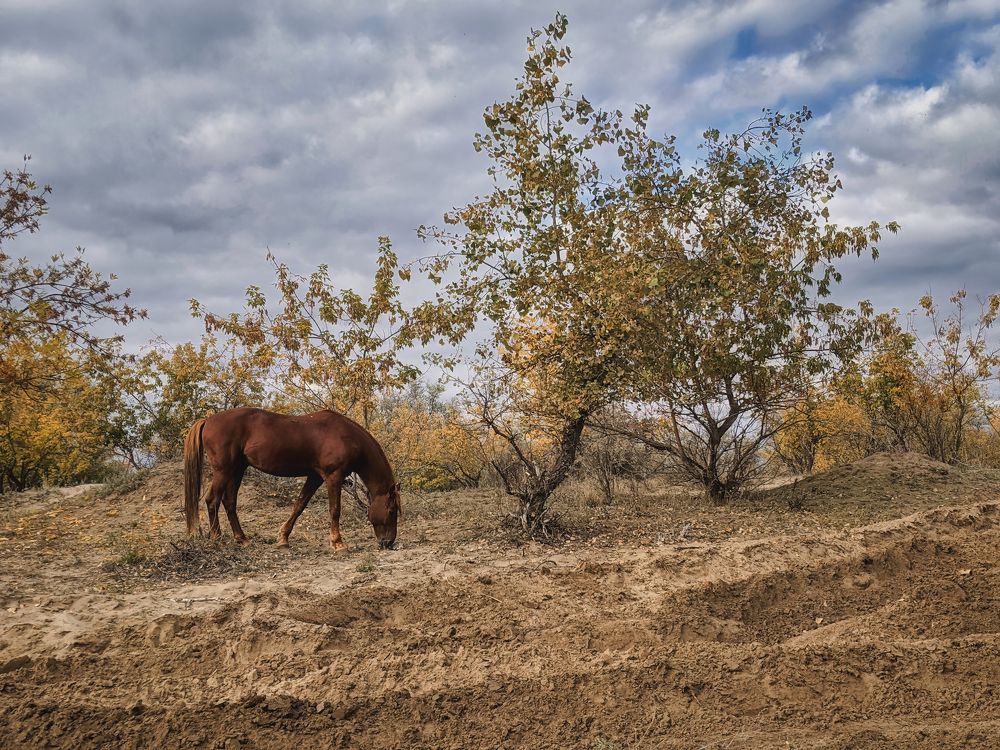 Photograph by Дудников Александр