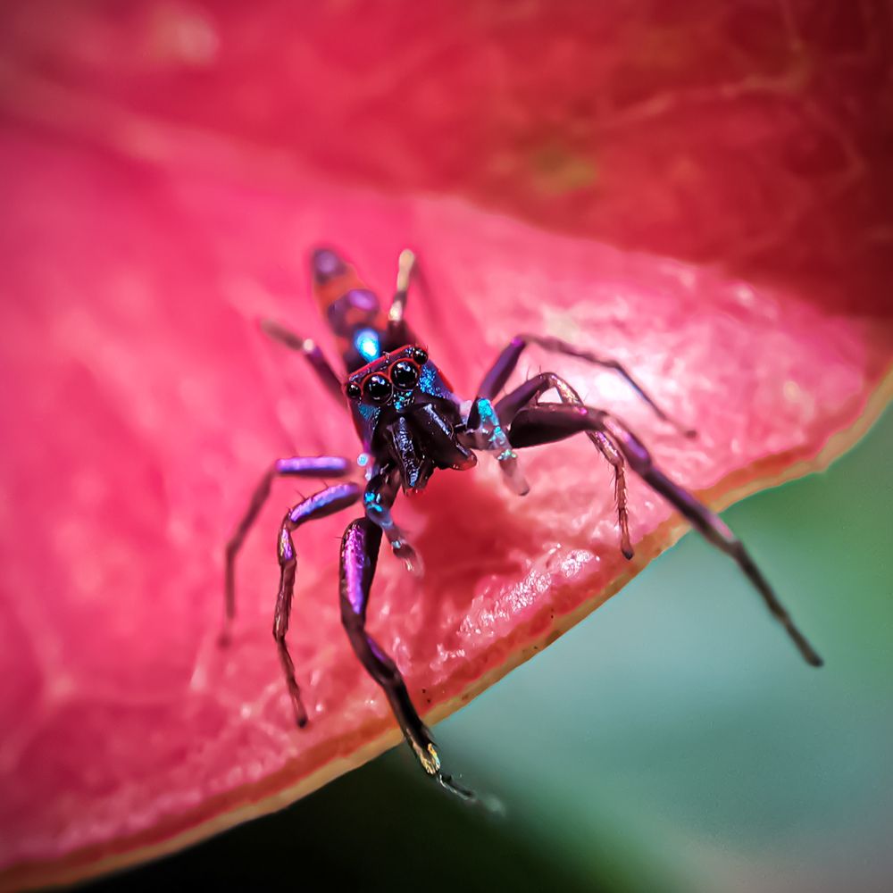 Photograph by Binara Divakara