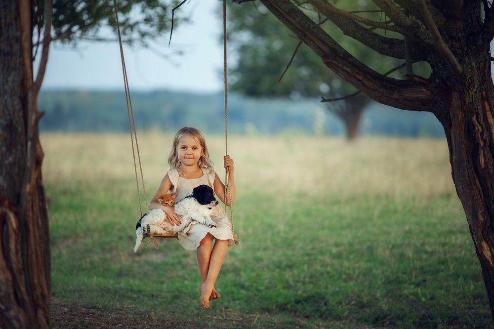 Photograph by Костюк Зоя