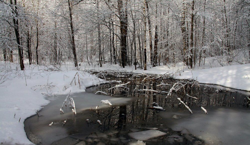 Фотография автора ИГОРЬ МЕЛЬНИКОВ