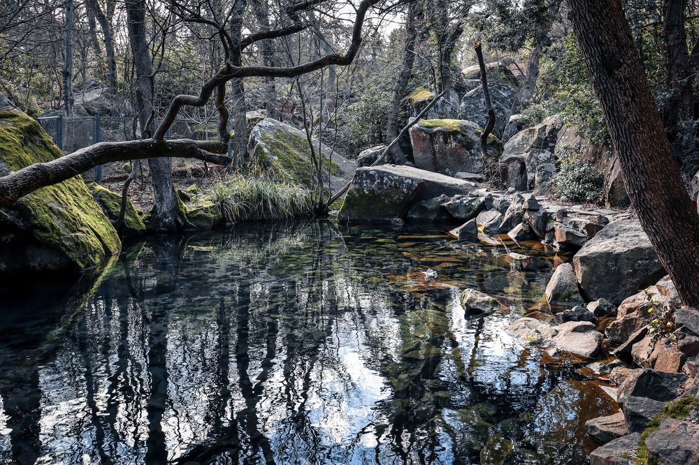 Photograph by Игорь Чечин