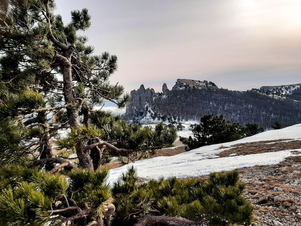 На горе Ай-Петри