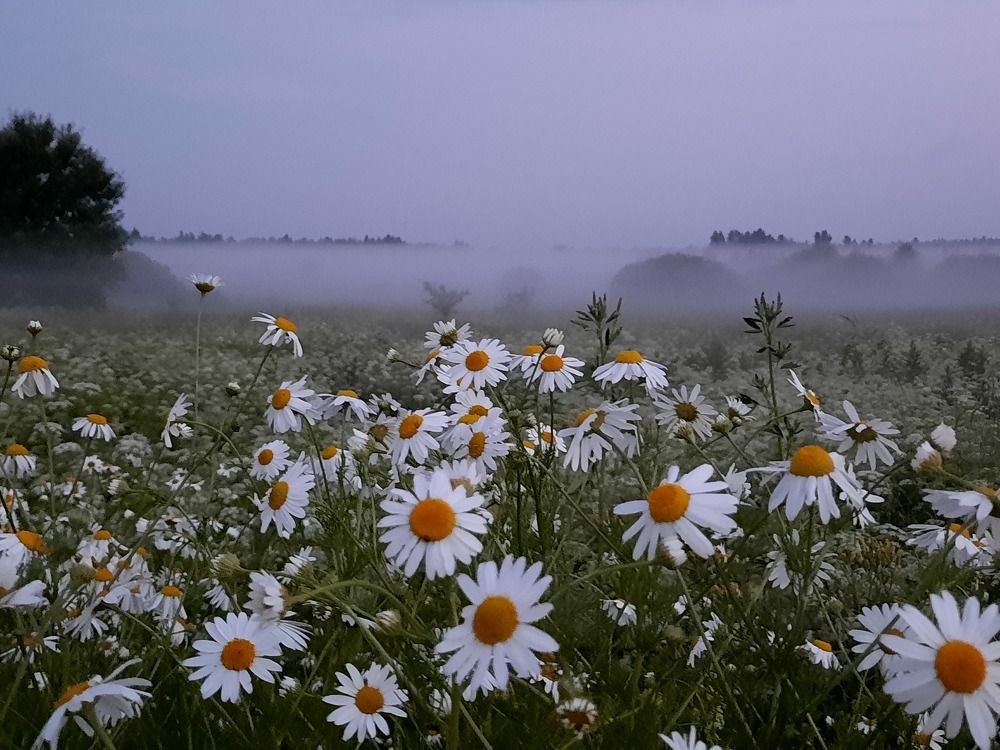 Photograph by Ольга Михайлова