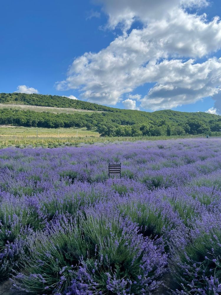 Фотография автора Юлия