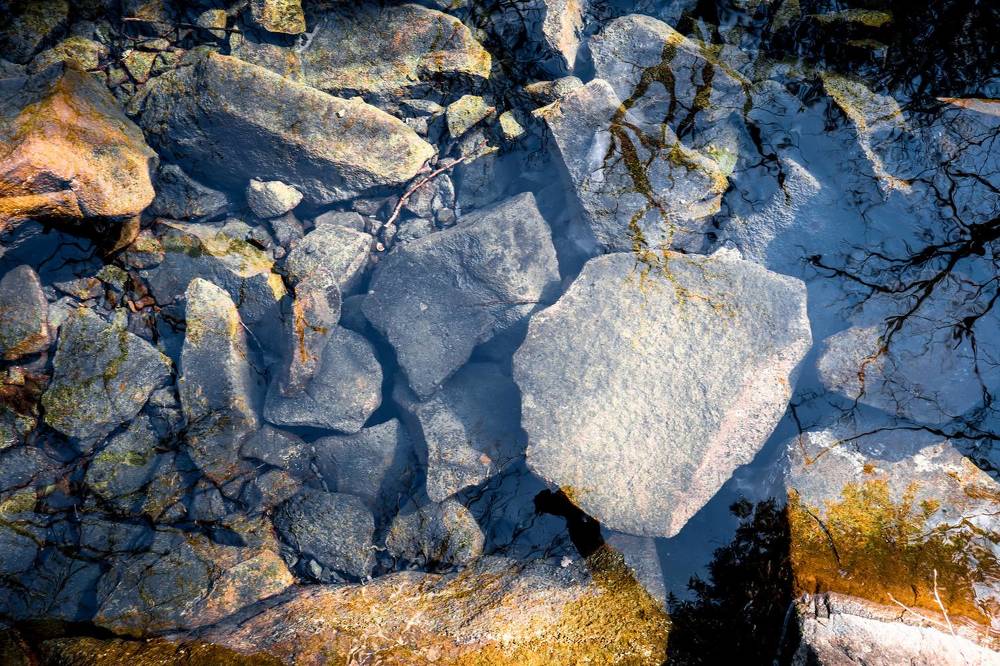 Оражение в пруду