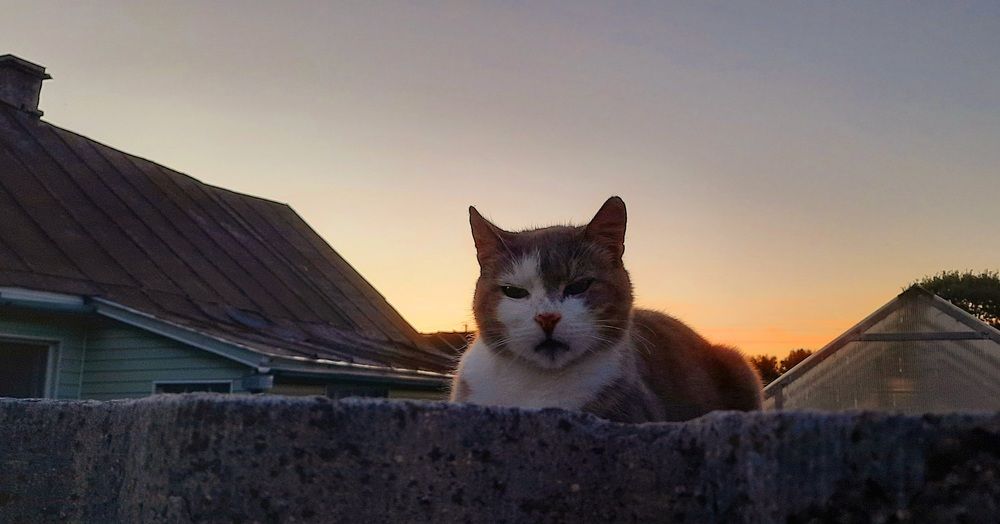 Photograph by Ольга Михайлова