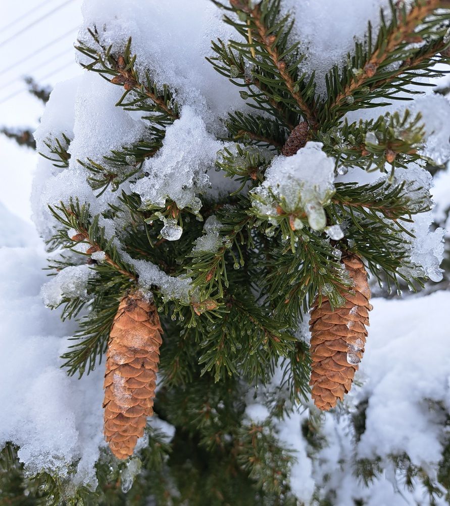 Photograph by Валентина Нохрина