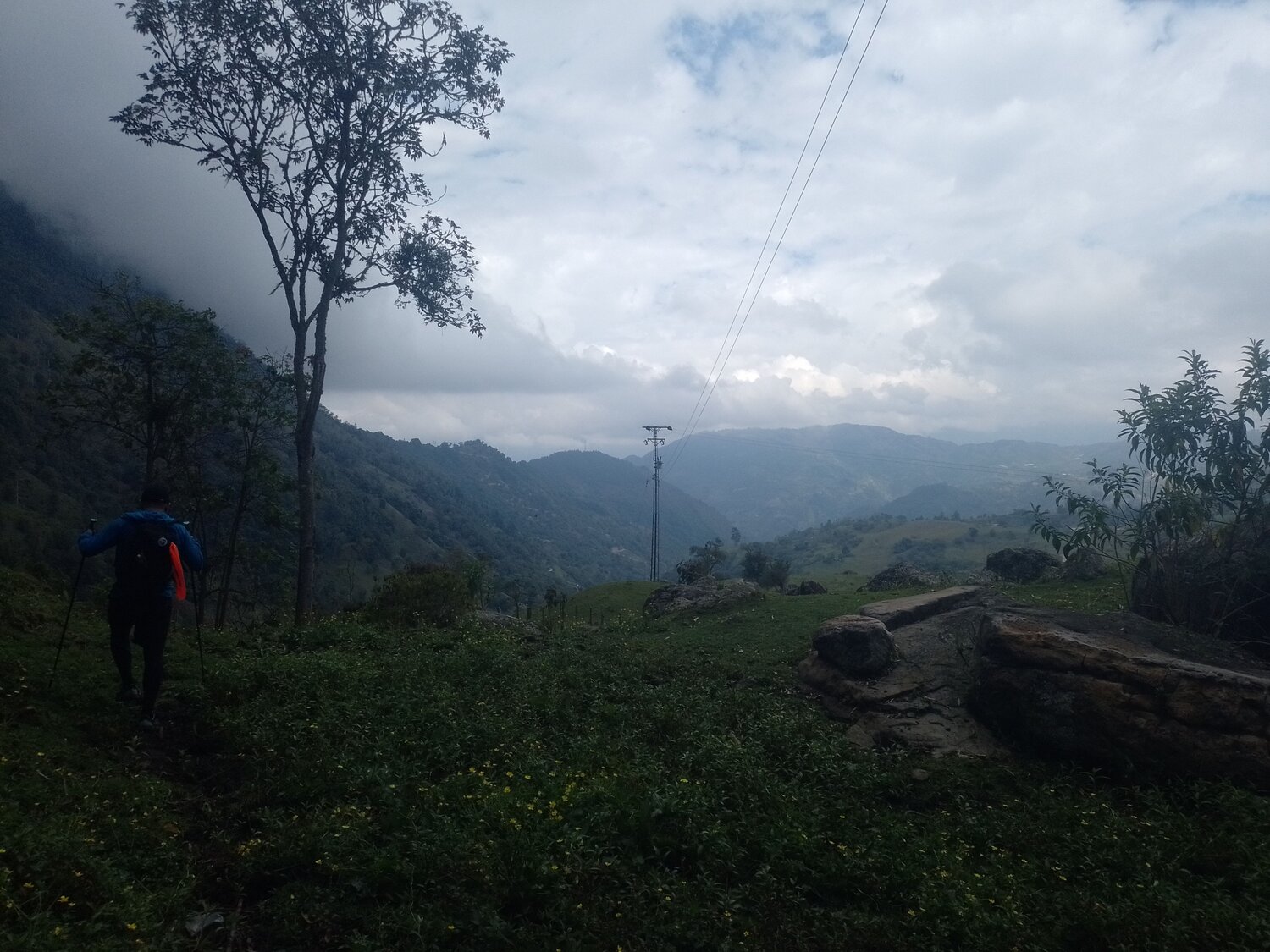 Photo #8945751