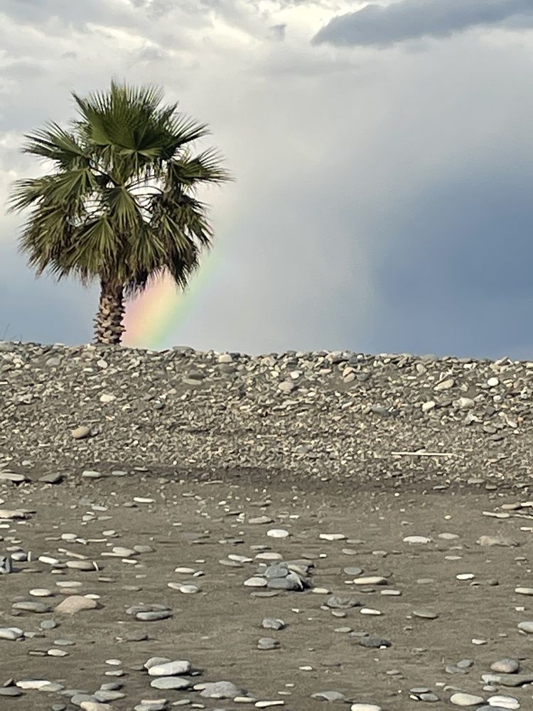 Photograph by Ольга Гущина