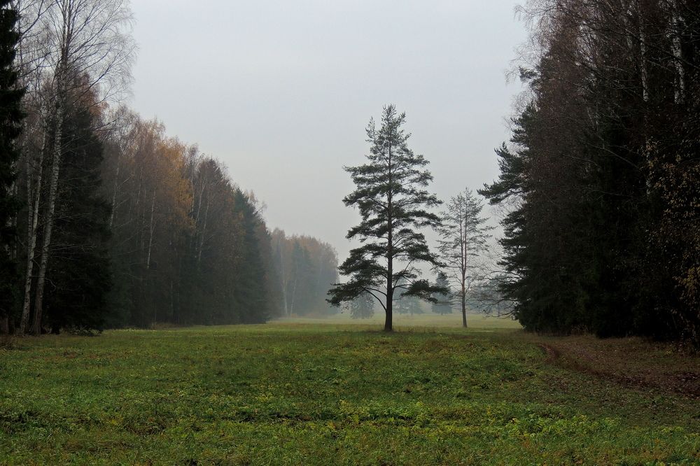 Photograph by Дмитрий Салов