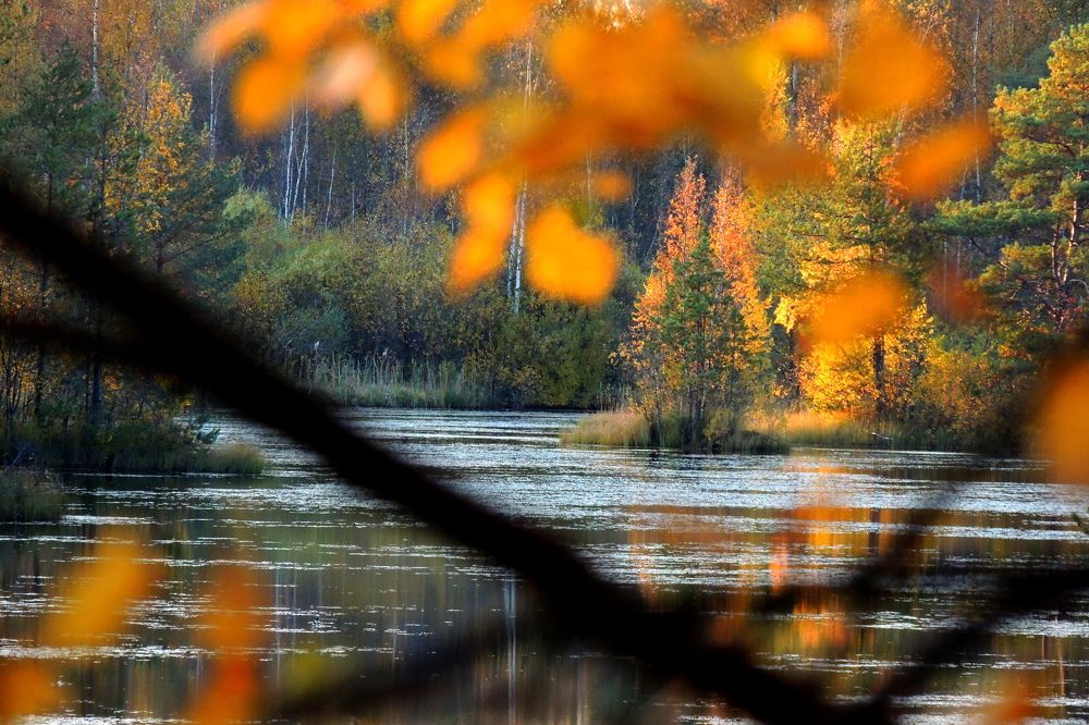 Photograph by Дмитрий Салов
