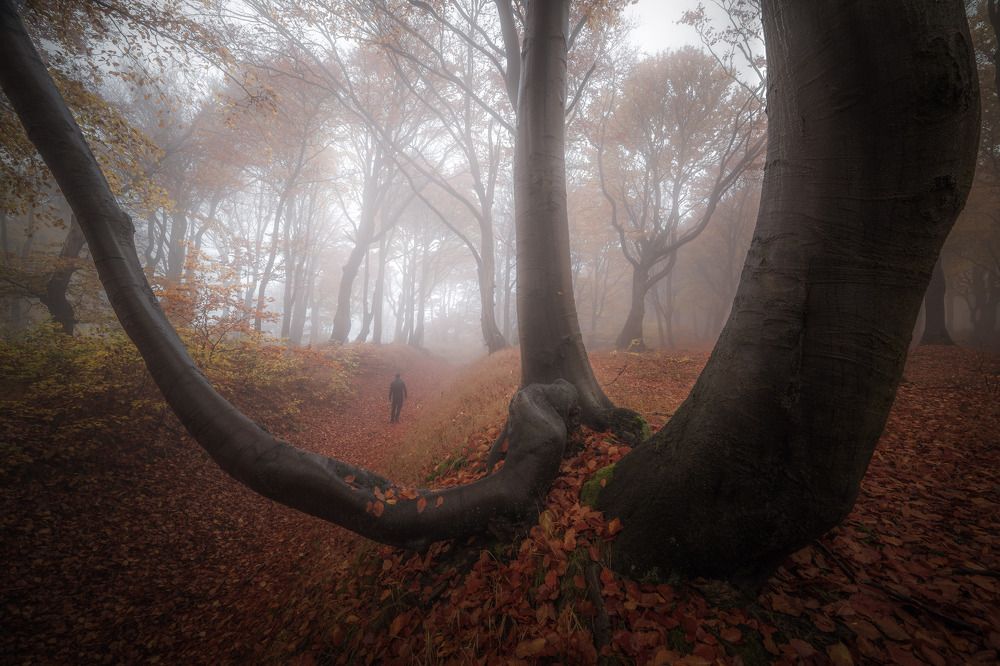 Photograph by Luboš Prchal
