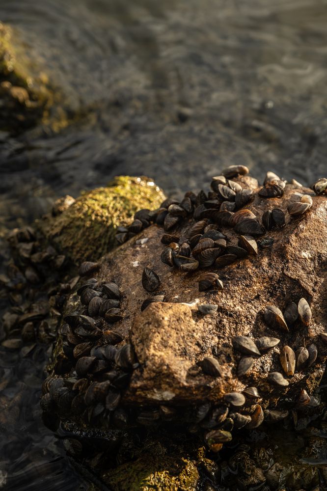 Photograph by Екатерина Борисова