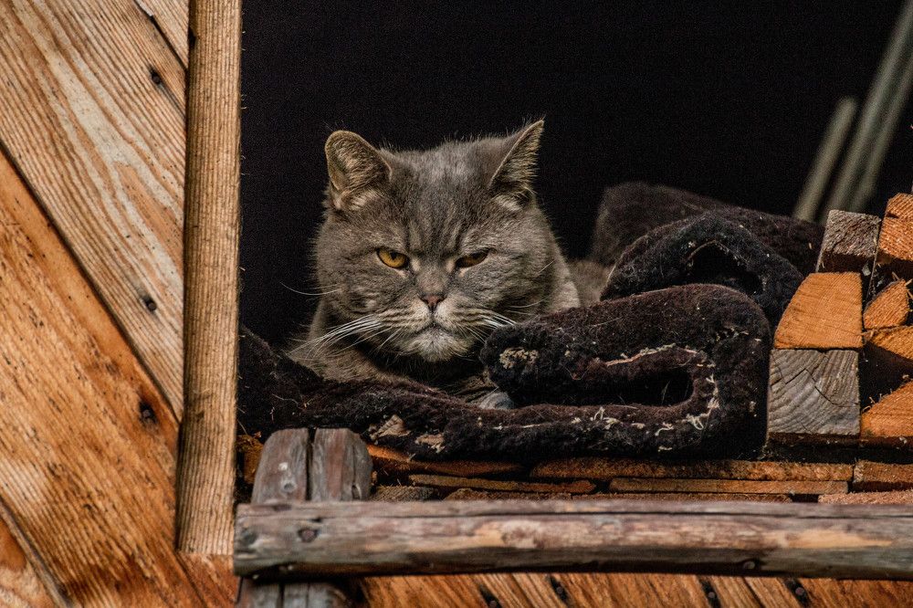 Photograph by Александр Трифанов