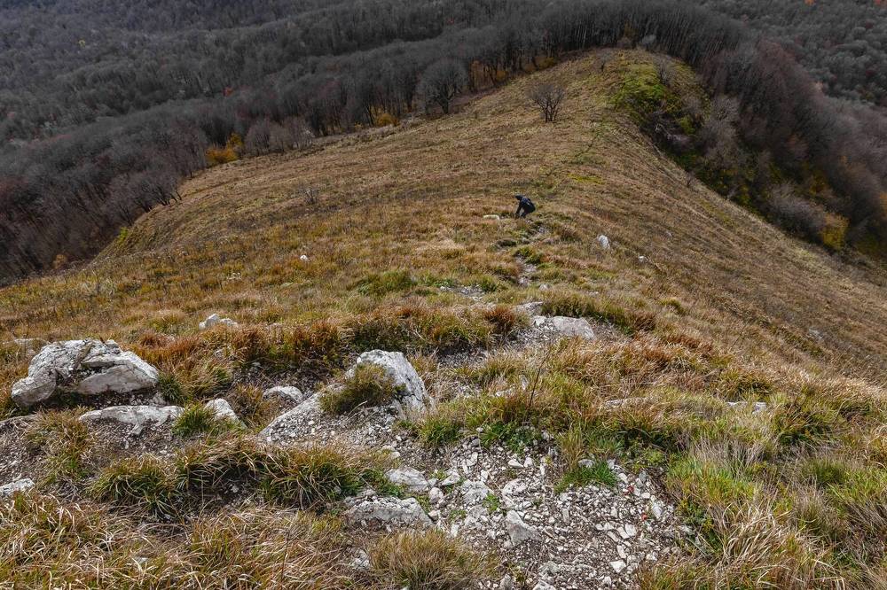 Только горы