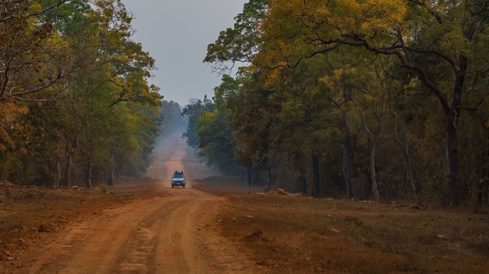 Photograph by Venkat Mangudi