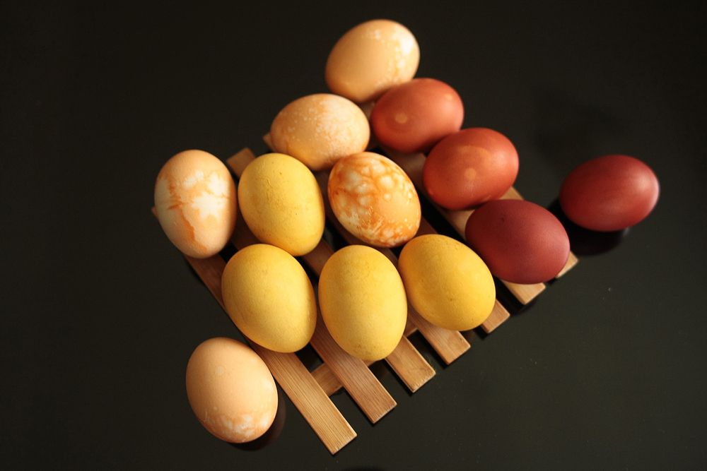 Photograph by Marmotte Marmotte