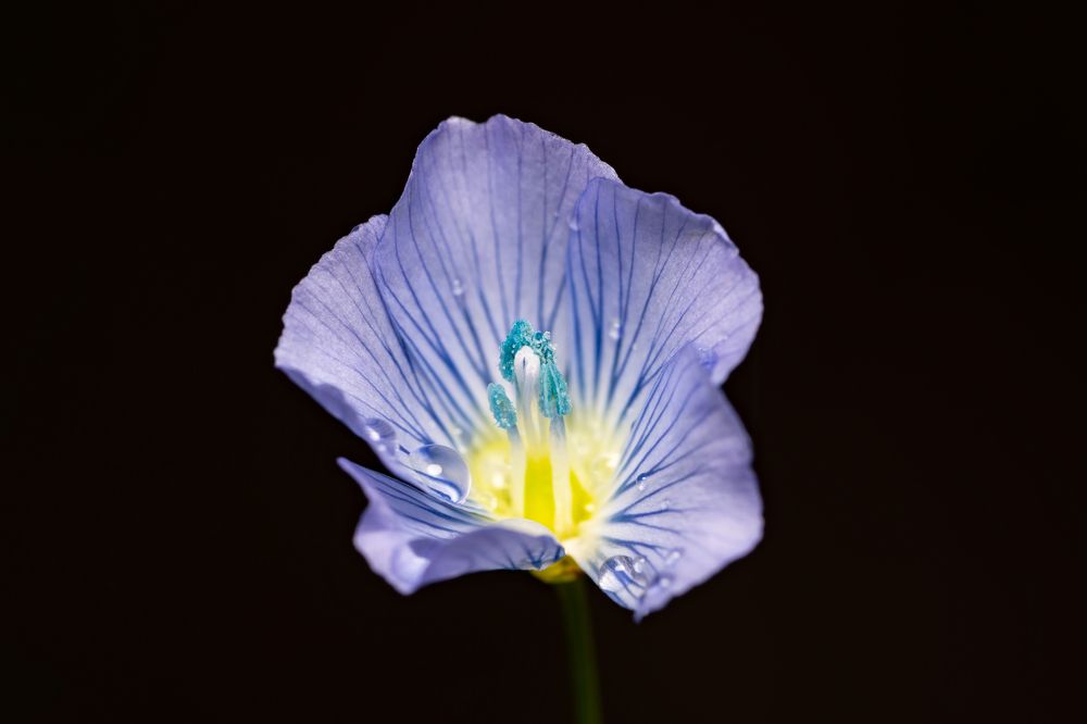 Photograph by Денис Дроздов