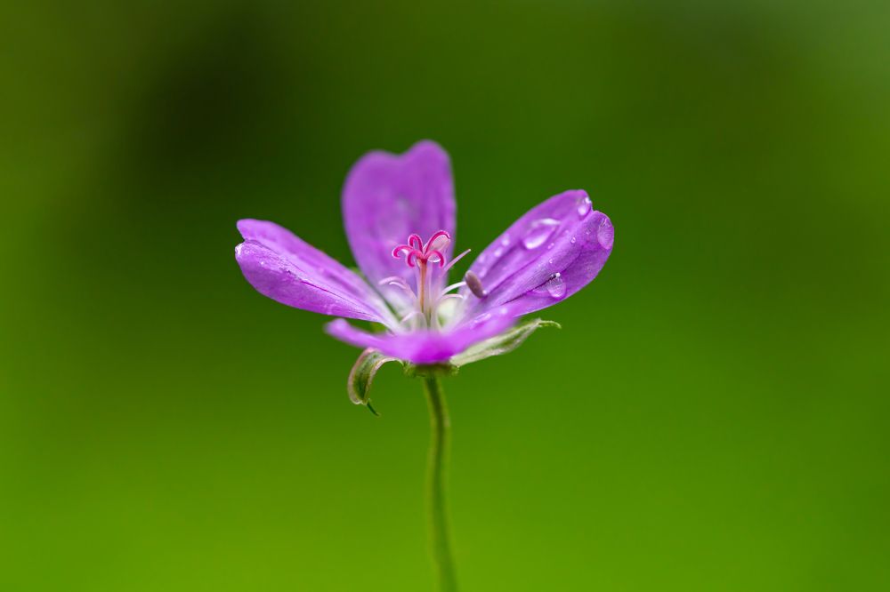 Photograph by Денис Дроздов