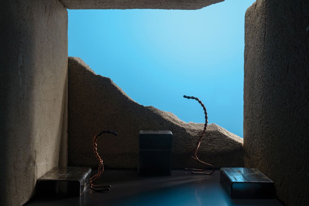 Фотография автора Кирилл Сизов