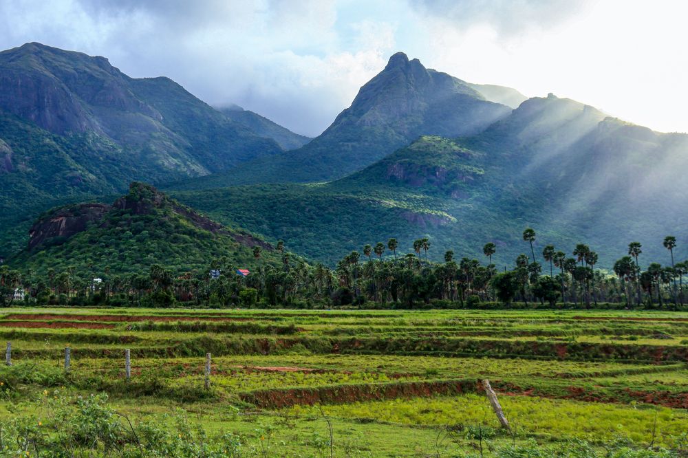 Photograph by Nurul BASHAR ABDUL MAJEETH