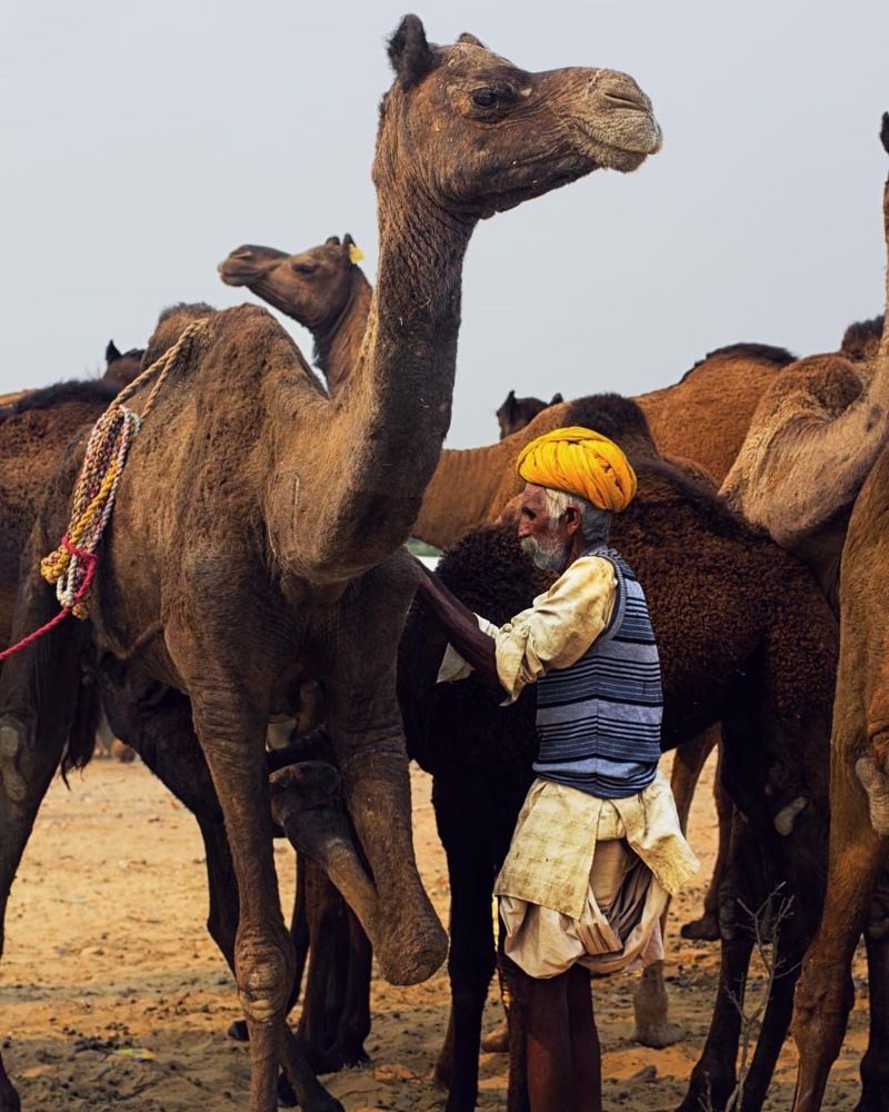 Фотография автора Abhijeet srivastava