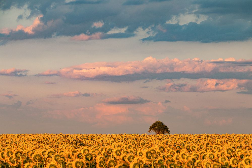 Photograph by Трайко Байко